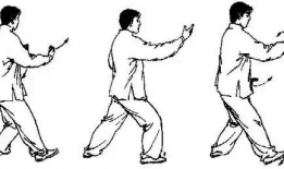 初学太极拳入门基本功视频教程